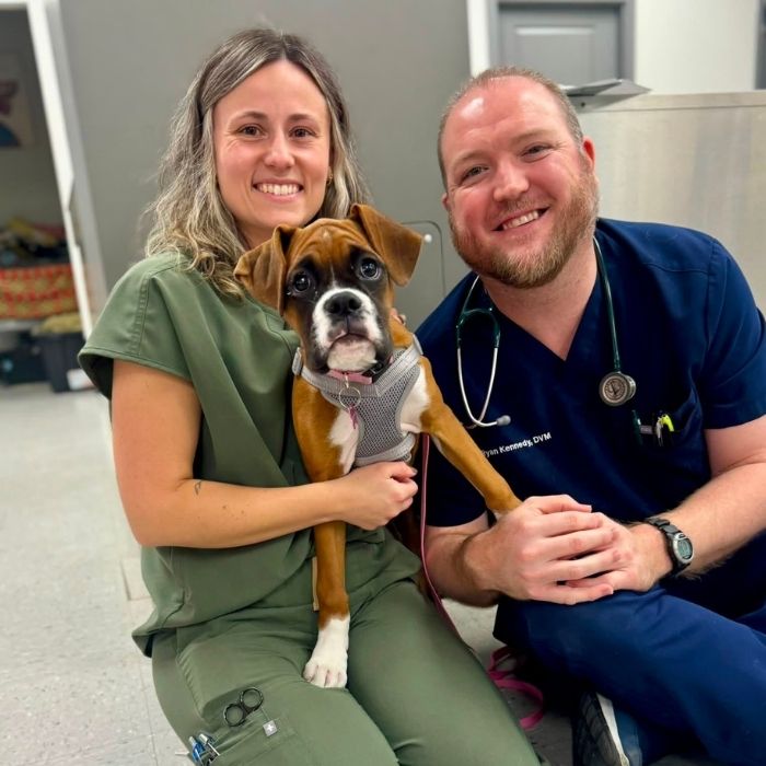 veterinary team poses warmly with a curious Boxer puppy