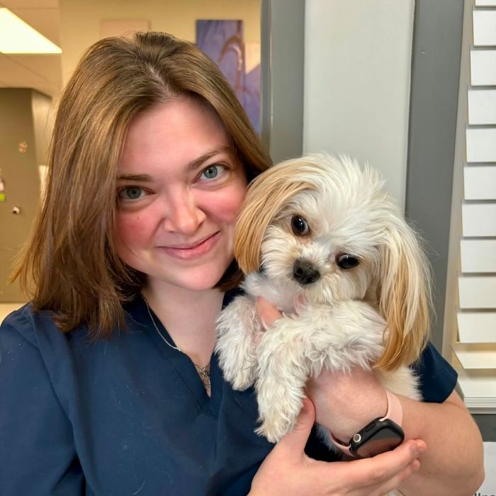 a vet staff in navy scrubs holds a small fluffy white-and-tan dog
